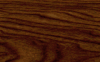 Scan of Desert Ironwood