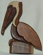 My first intarsia, a pelican: poplar, black walnut, western red cedar and ebony (eye)